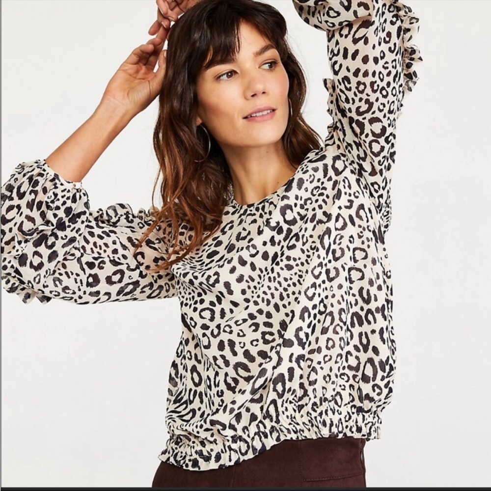 NWT Ann Taylor Ruffle Sleeve Cinched Hem Top